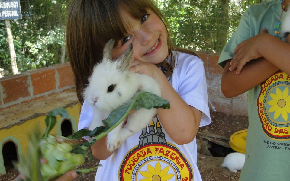 Animais da fazenda