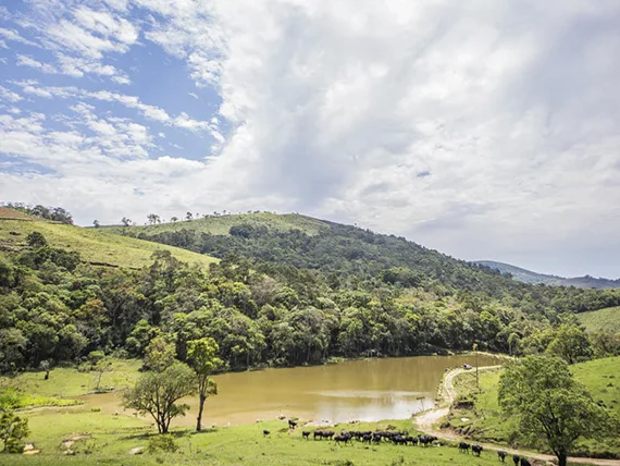 pesca-esportiva-ribeirao-das-flores