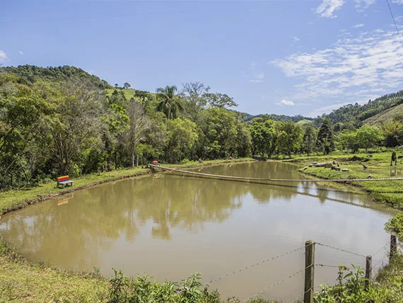 pesca-esportiva2-ribeirao-das-flores